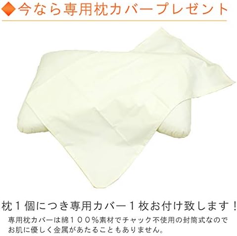 日本 CHOICE PILLOW 仰睡 側睡 快眠枕 枕頭 飯店枕 特殊構造 人體工學 支撐 附專用枕套