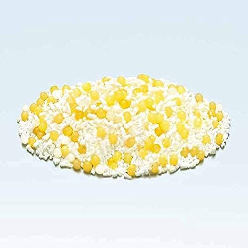 日本 森下仁丹 益生菌 60天份 乳酸菌 晶球益生菌 長益菌 比菲德氏菌