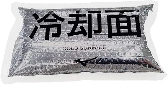 2024年新款 Burtle 原廠 日本製 保冷劑 AITOZ 空調服 專用 作業服 釣魚 戶外 露營 冰袋 cool