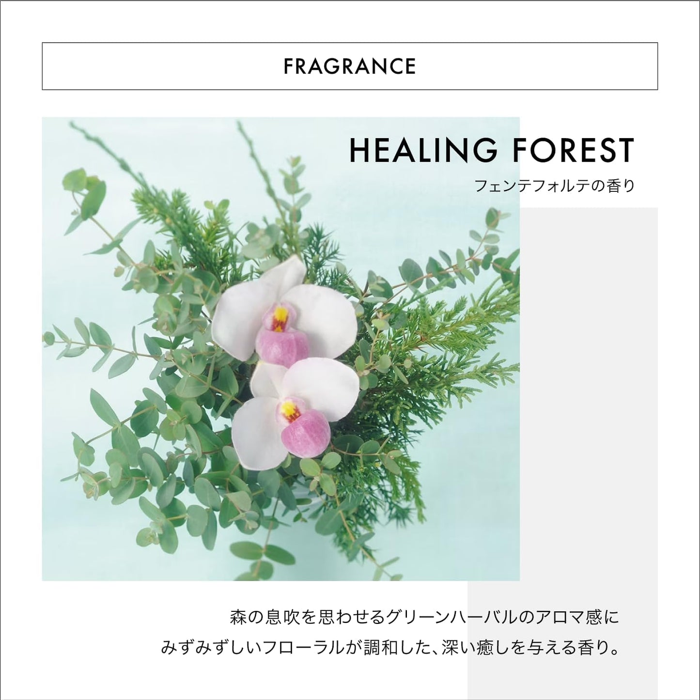 日本 資生堂 FUENTE FORTE 【1800ml】 芳泉調理洗髮乳 一般頭皮 scalp care
