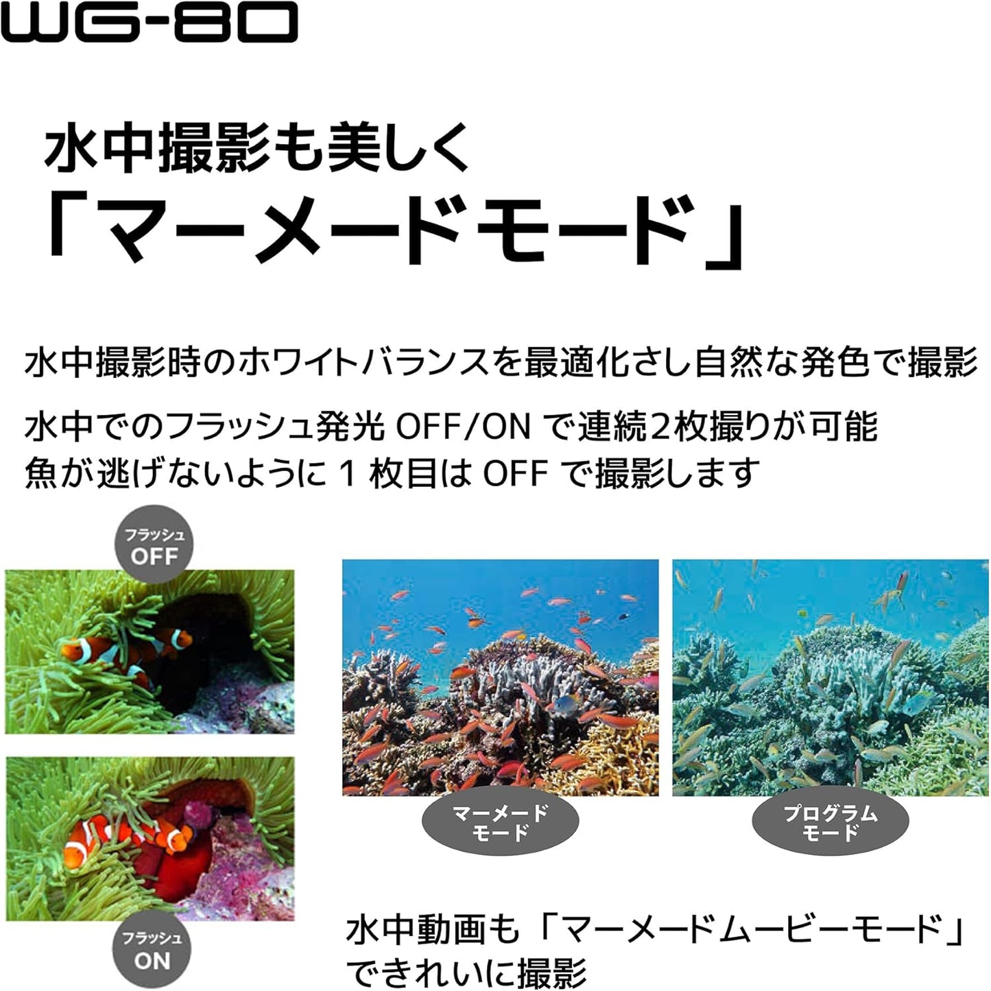 日本 RICOH WG80 WG70 全天候防水機 防水相機 可潛水 耐寒 耐重 耐撞