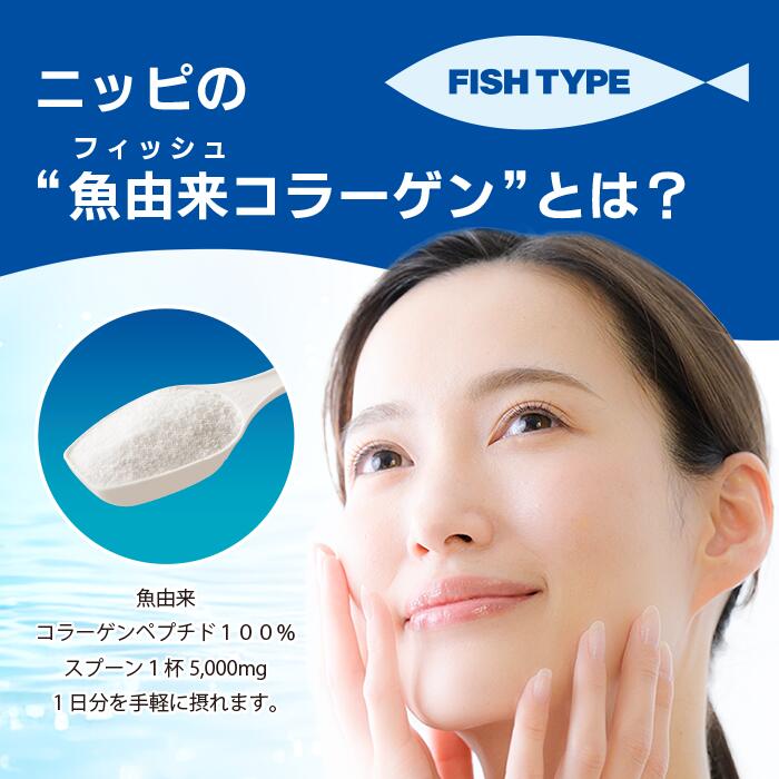 NIPPI 魚膠原蛋白粉 110g 無味無臭 低分子 易吸收 快速溶解 膠原蛋白 日本製 ※日本新上市