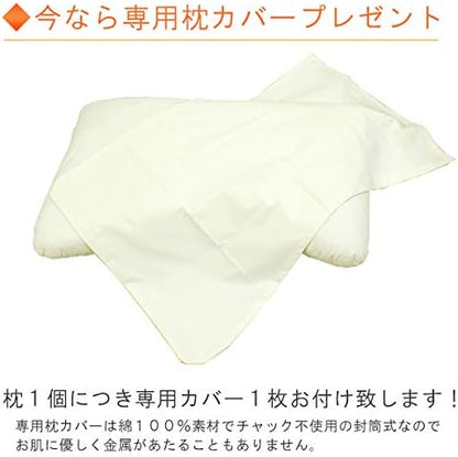 Japan CHOICE PILLOW quick sleep pillow for back and side sleeping hotel pillow special structure ergonomic support with special pillowcase