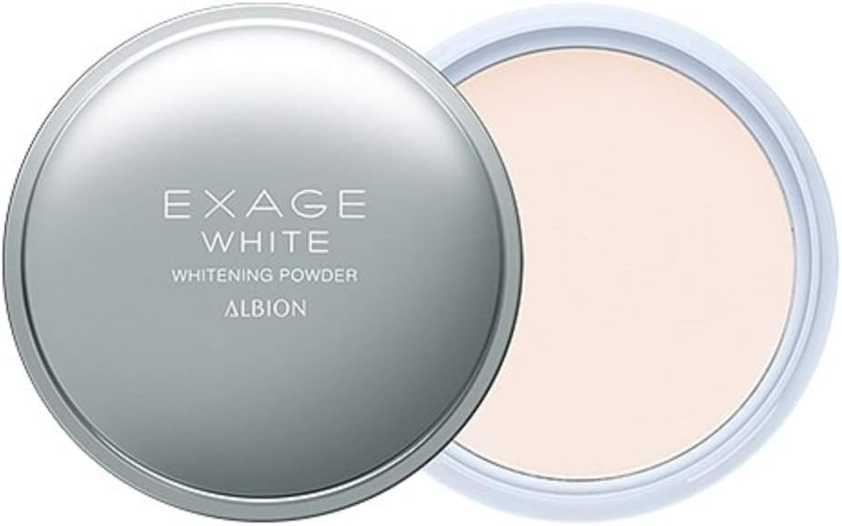 日本 現貨 正品 ALBION 艾倫比亞 新版 晚安粉 素顏粉 18g