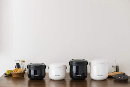 IRIS OHYAMA Japan stew pot 2.7L 4.5L stew pot camping pot stew pot insulation pot heat preservation conditioning RWP-N45