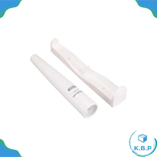 日本 PANASONIC 國際牌 LED 手電筒 居家 飯店 防災 緊急 備用燈 夜光 BF-BE01 登山 露營照明